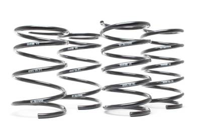 H&R Special Springs LP - H&R 29868 Sport Spring Kit