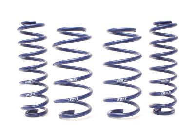 H&R Special Springs LP - H&R 54855 Raising Spring Kit