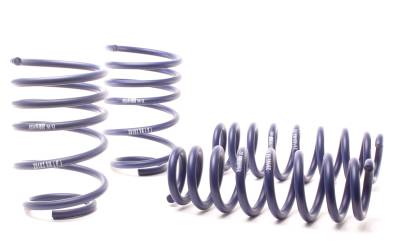 H&R Special Springs LP - H&R 50490-88 Race Spring Kit