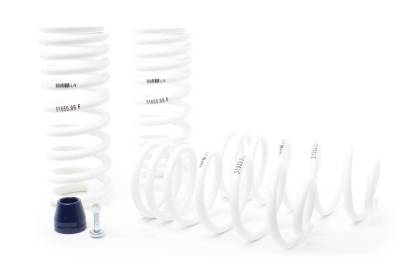 H&R Special Springs LP - H&R 51650-99 Super Race Spring Kit