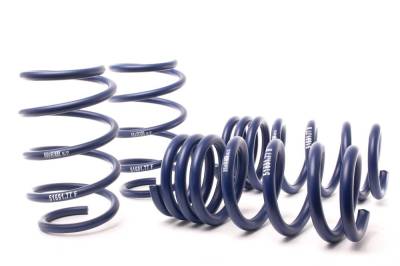 H&R Special Springs LP - H&R 51691-77 Super Sport Spring Kit