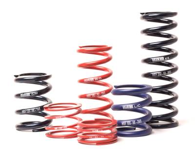 H&R Special Springs LP - H&R RF100110 ID Race Springs