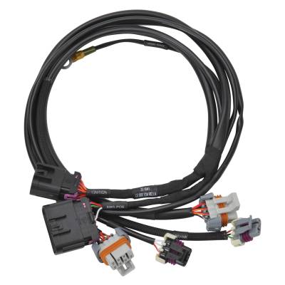 Edelbrock - Edelbrock 36122 Pro-Flo 4+ EFI Ignition & Engine Position Harness 58x Crank/Cam