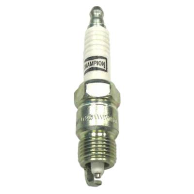 Champion Spark Plug - Champion Platinum Power Boxed RV17PMC4