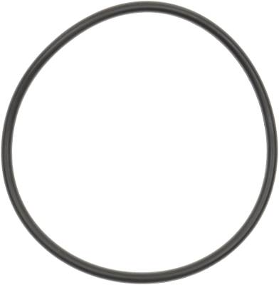 Spicer - DANA Spicer 47893 Retainer Ring/O-Ring