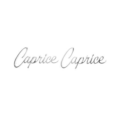 Trim Parts - Trim Parts 2430 1965-67 Full-Size Chevrolet Front Fender Emblem "Caprice" PAIR
