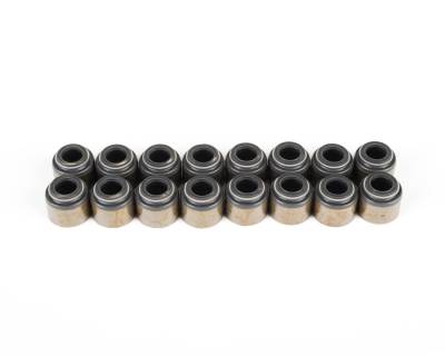 Brian Tooley Racing - Brian Tooley Racing VS LS Kit Valve Seal Kit