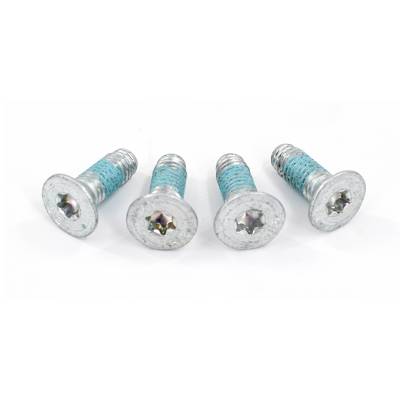 Brian Tooley Racing - Brian Tooley Racing BTR61455-4 Cam Retainer Bolt Set