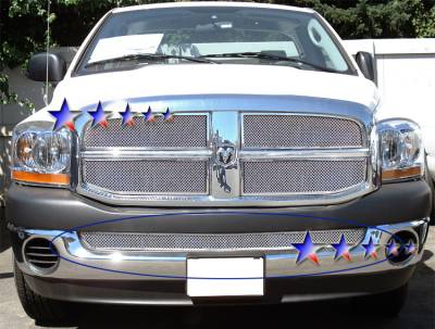 APS - APS Wire Mesh Bumper Grille Polish for 02-08 Dodge RAM 1500 GR04GEC75T