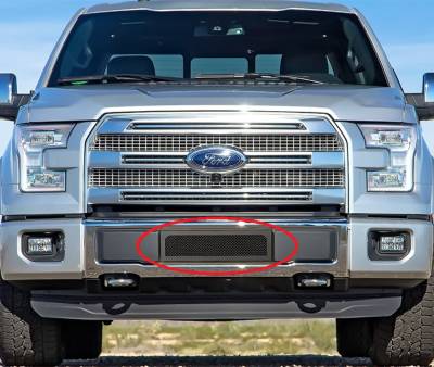 APS - APS Wire Mesh Bumper Grille Black 15-17 Ford F150 GR06GFC13H
