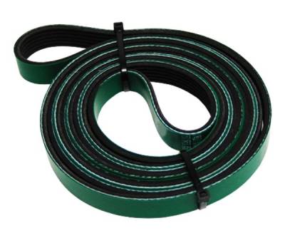 Pacific Performance Engineering - PPE 213001080 Serpentine Belt for Dual Fueler 5.9 & 6.7L