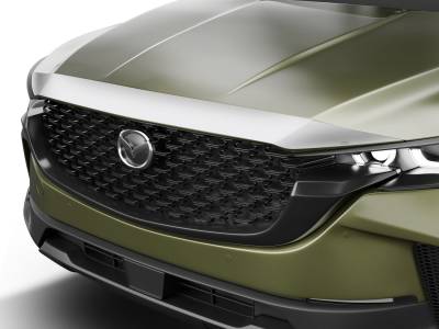 Husky Liners - Husky Liners 2892250 Aeroskin Hood Protector Chrome