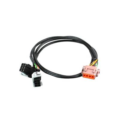 Racepak - Racepak 280-CA-LSUB-AMP Air Fuel Ratio Sensor