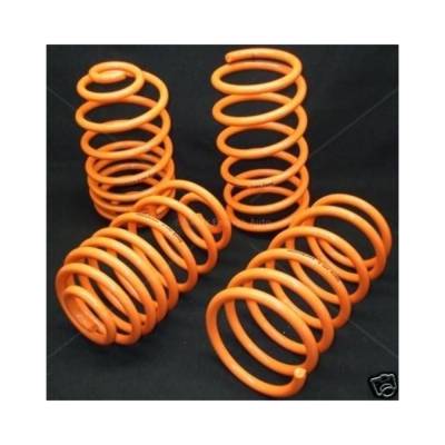 Megan Racing - Megan Racing MR-LS-AR02 Lowering Coil Springs Kit 02-04 Acura RSX