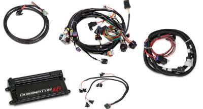Holley EFI - Holley EFI 550-656 1900 Car GM GM LS Fuel Injection Conversion Kit