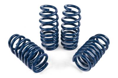 Dinan - Dinan D100-0936 BMW Sport Utility 4.4 Coil Spring Set