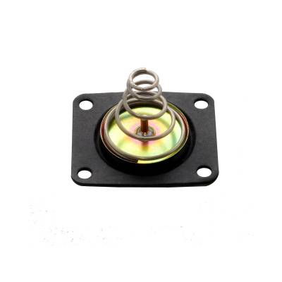Quick Fuel Technology - Quick Fuel Technology 35-100QFT Fuel Injection Pressure Regulator Seal