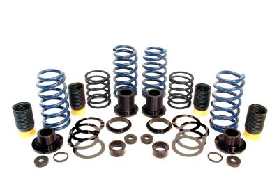 Dinan - Dinan D190-1011 Coilover Adjustable Spring Lowering Kit for BMW Sedan 4.4