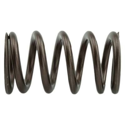 Industrial Injection - Industrial Injection PDM-160-1484S-24 Valve Springs for 98.5-18 Cummins 24V
