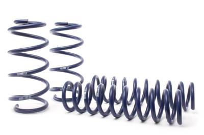 H&R Special Springs LP - H&R 28691-1 Lift Spring Kit for 14-19 Ford Escape