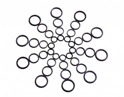 Aeromotive Fuel System - Aeromotive 15623 Nitrile O-Ring 10Pc Size AN-10