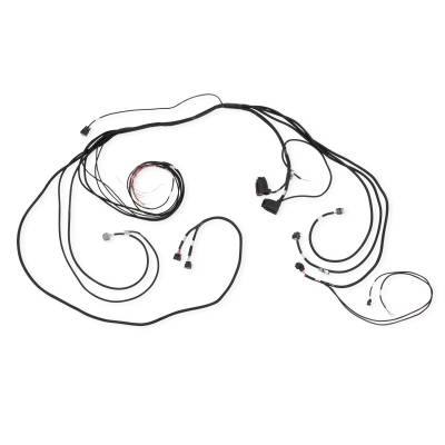 AEM Electronics - AEM Electronics 30-8603 Low Voltage Disconnect Module Wiring Harness