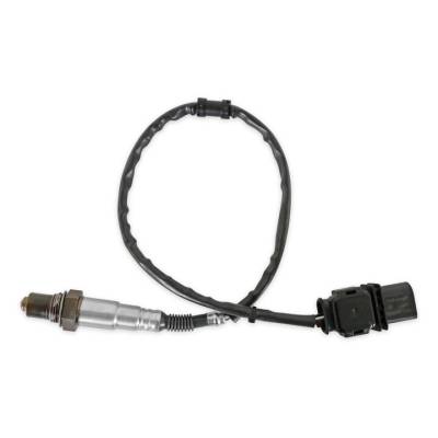 Holley EFI - Holley EFI 554-155 Holley EFI Oxygen Sensor