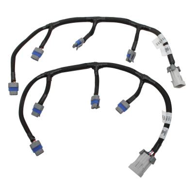 Holley EFI - Holley EFI 558-321 Ignition Coil Assembly Wiring Harness