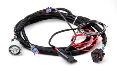 Holley EFI - Holley EFI 558-405 Transmission Fuel Injection Harness for GM 4L60/80E