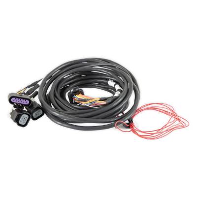 Holley EFI - Holley EFI 558-411 Dominator EFI GM Dual Drive-By-Wire Harness