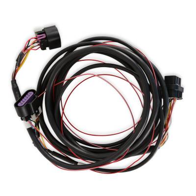 Holley EFI - Holley EFI 558-429 Holley EFI GM Drive-By-Wire Harness Early Truck