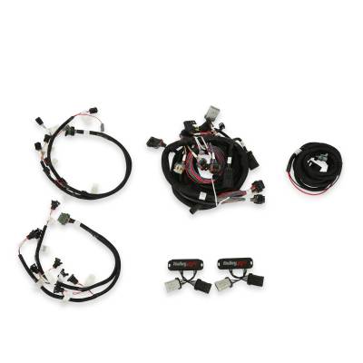 Holley EFI - Holley EFI 558-505 Fuel Injection Harness for Ford Car Modular 281 330