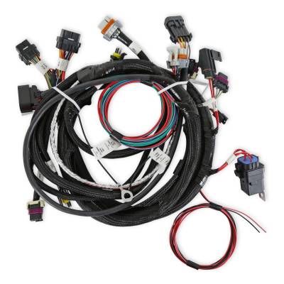 Holley EFI - Holley EFI 558-111 Main Engine Harness for 24x LS w/TBI