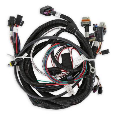 Holley EFI - Holley EFI 558-112 MAIN ENGINE HARNESS for 58X LS w/TBI