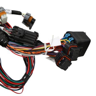 Holley EFI - Holley EFI 558-140 Fuel Injection Harness for Ford Car Godzilla 415 445