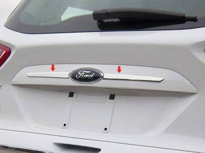 Quality Automotive Accessories - Quality Automotive LB53360 License Plate Bezel 13-14 Ford Escape