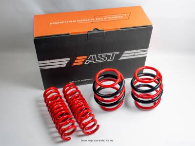AST Suspension - AST Suspension ASTLS-14-1193 Lower Springs Set Cold-Coiled On Wafio Coil Machine