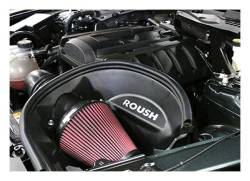 Roush Performance - Roush Performance 421827 Cold Air Intake Kit - Image 1