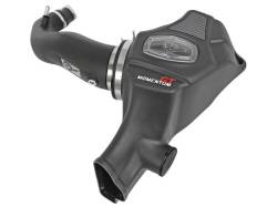 aFe Power - aFe Power Momentum GT Pro Dry S Cold Air Intake System-Black; 51-73201 - Image 1