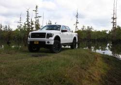 Superlift - Superlift 6" Suspension Lift Kit-Bilstein Shocks , 09-14 Ford F-150 4WD; K179B - Image 2