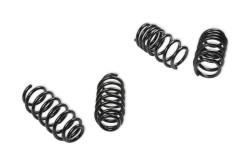 Rekudo - Lakewood RK200-10 Rekudo Coil Spring Set Fits 18-21 3 - Image 1