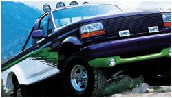 Bushwacker - Bushwacker Cut-Out Style Rear Fender Flares-Black, Ford F-Series; 20022-11 - Image 3