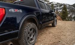 Bushwacker - Bushwacker OE Style Front/Rear Fender Flares-Black, Ford F-150; 21917-02 - Image 3