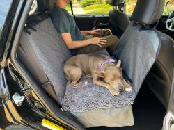 DGS Pet Products - DGS Pet Products DGSDDCARSC19 Dirty Dog 3-in-1 Car Seat Cover and Hammock, Black - Image 5