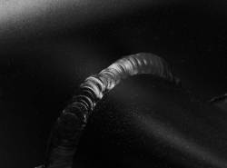 Holley Sniper EFI - Holley Sniper EFI 822042-1 Sheet Metal Fabricated Intake Manifold GM LS3/L92 - Image 9