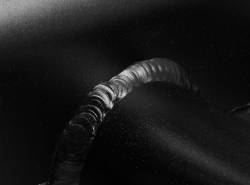 Holley Sniper EFI - Holley Sniper EFI 822102-1 Sheet Metal Fabricated Intake Manifold GM LS3/L92 - Image 10