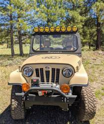 KC Hilit's - KC HiLit's 5114 Pro6 KC 50Th Anniversary Yellow/Black Cover Each - Image 2