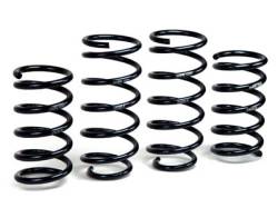 H&R Special Springs LP - H&R 51602 Raising Spring Kit - Image 2
