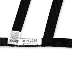 Simpson Safety - Simpson Safety DNC5RRK Driver Net Corvette Right SFI Rated - Image 5