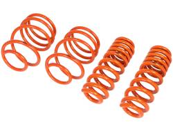 aFe Power - aFe Power 410-503003-N Coil Spring Lowering Kit for BMW 3.0 - Image 2